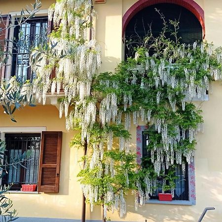 Pensjonat La Casa Dei Masue' Alba  Zewnętrze zdjęcie