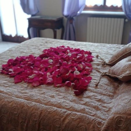 Pensjonat La Casa Dei Masue' Alba  Zewnętrze zdjęcie