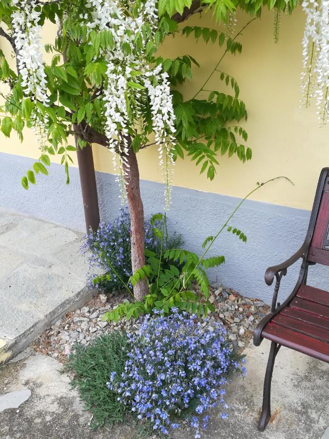 Pensjonat La Casa Dei Masue' Alba  Zewnętrze zdjęcie
