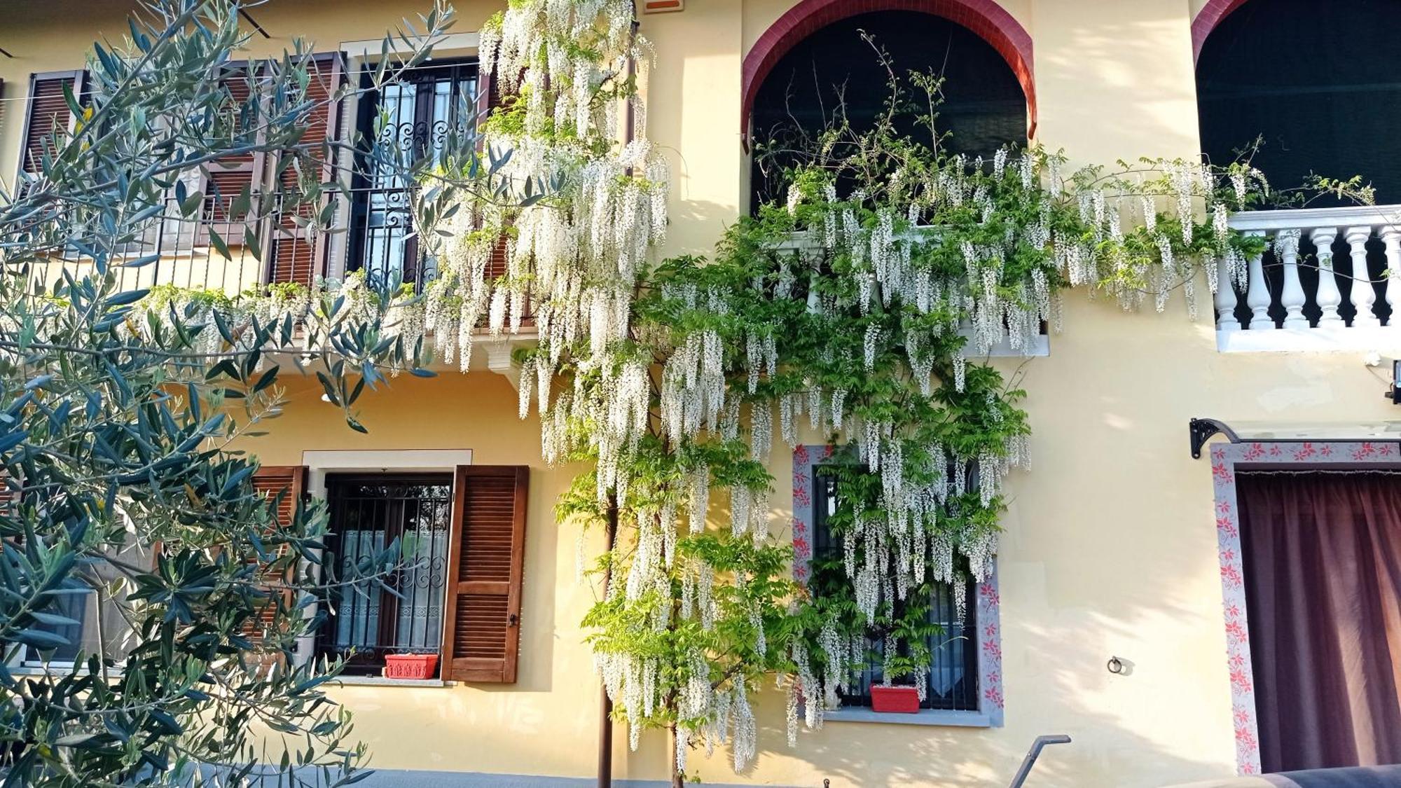 Pensjonat La Casa Dei Masue' Alba  Zewnętrze zdjęcie