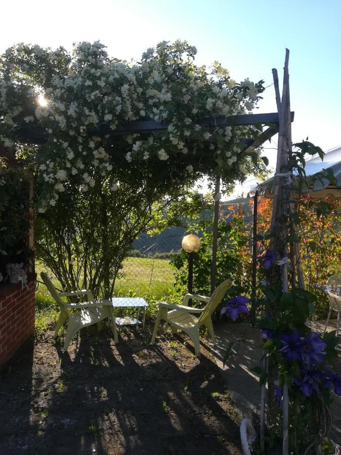 Pensjonat La Casa Dei Masue' Alba  Zewnętrze zdjęcie